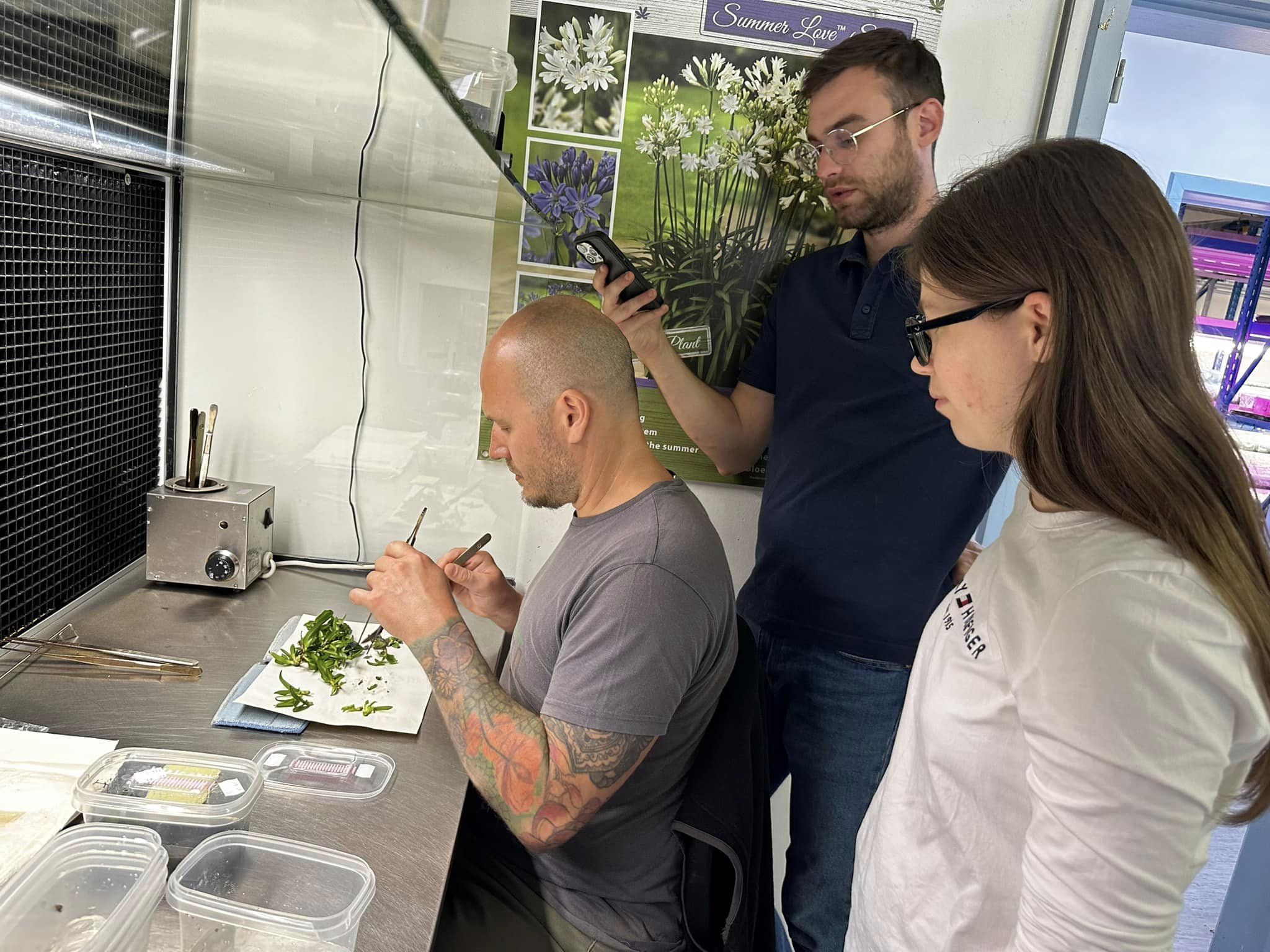 Vitrohub Moldova conducts study visit to Belgium to enhance knowledge on efficient and climate-smart micropropagation technologies